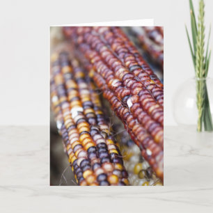 Indischer Mais am Gewerkschafts-Quadrat Karte