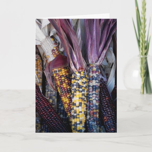 'Indischer Mais' leere Grußkarte Karte (Vorderseite)