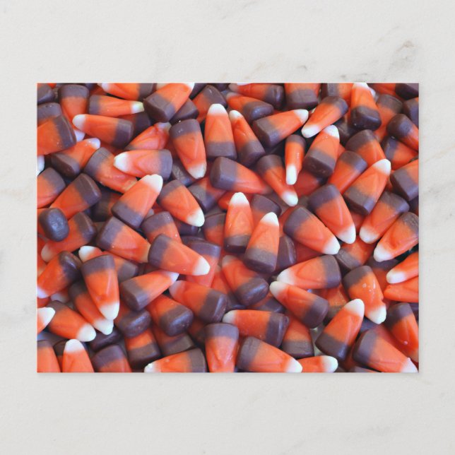 Indischer Mais Postkarte (Vorderseite)