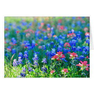 Indischer Malerpinsel