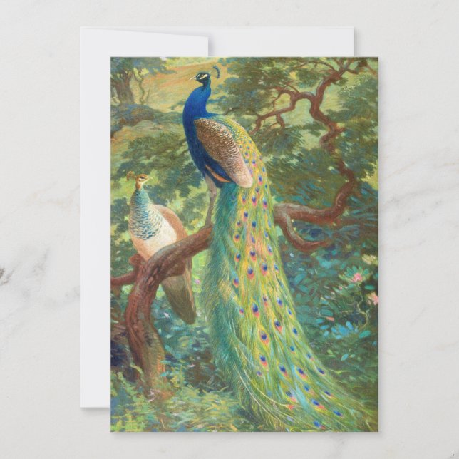 Indischer Pfau | Charles Robert Knight (Vorderseite)