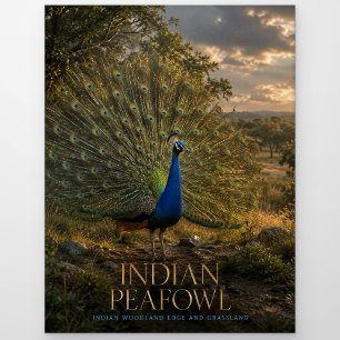 Indischer Pfau Waldrand TIERE Postkarte