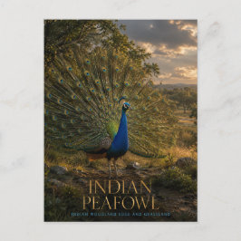 Indischer Pfau Waldrand TIERE Postkarte