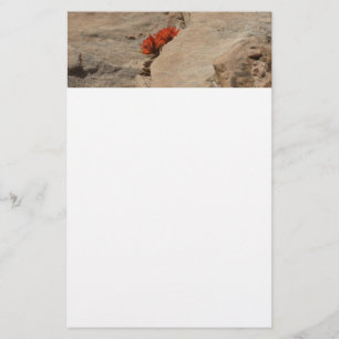 Indischer Pinsel in Rocks bei Zion Briefpapier