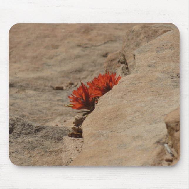 Indischer Pinsel in Rocks bei Zion Mousepad (Vorne)