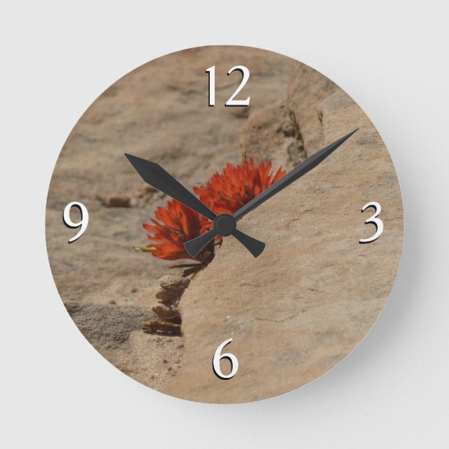 Indischer Pinsel in Rocks bei Zion Runde Wanduhr (Vorderseite)