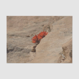 Indischer Pinsel in Rocks bei Zion Seidenpapier