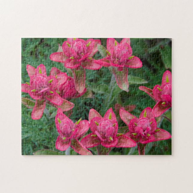 Indischer Pinsel Puzzle (Horizontal)
