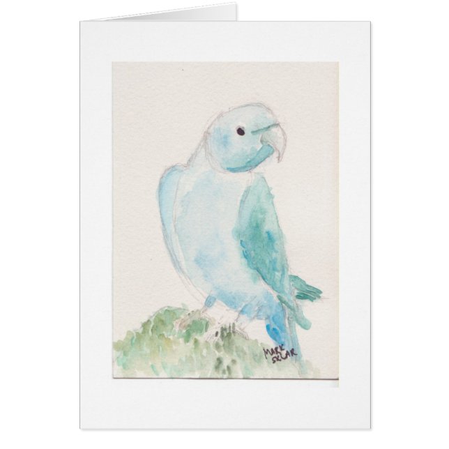 Indischer ringneck Parakeet (Vorne)