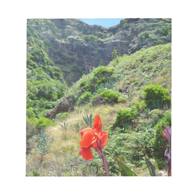 Indischer Schuss (Canna Indica purpurea) Notizblock (Vorderseite)