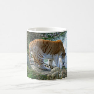 Indischer Tiger Tier Tasse