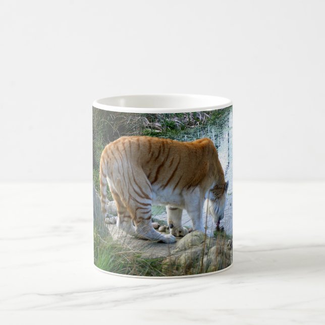 Indischer Tiger Tier Tasse (Mittel)