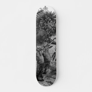 Indisches Amerikanisches Skateboard