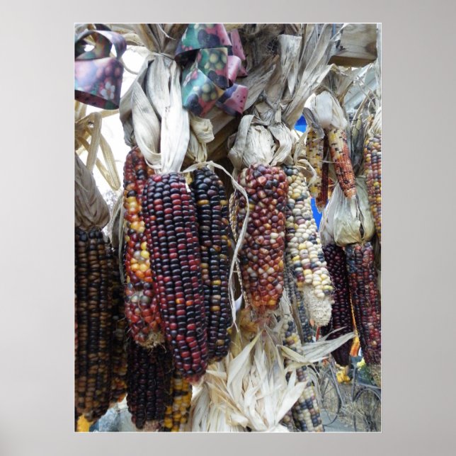 Indisches Maisposter Poster (Vorne)