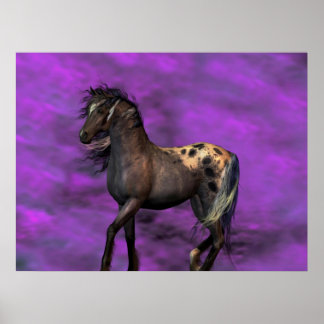 Indisches Pferd Poster