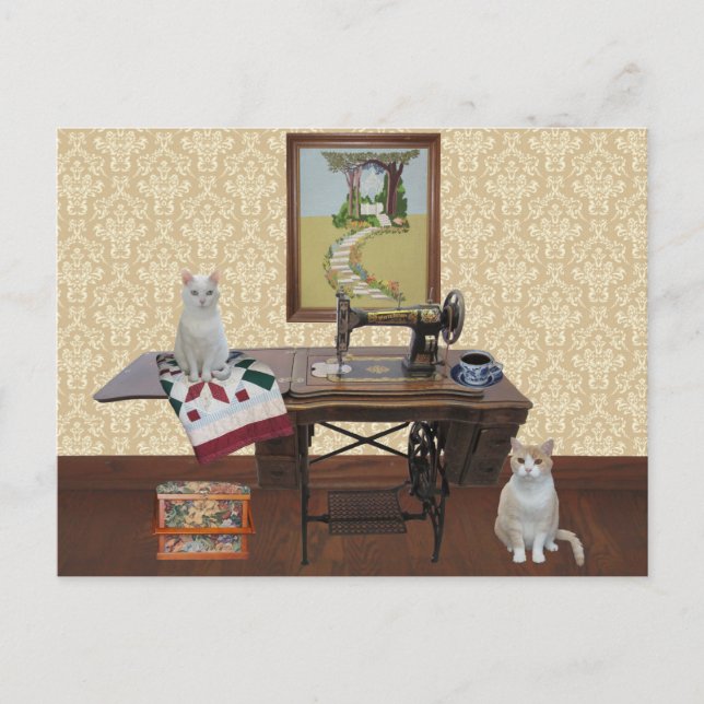 Individuell anpassbare Postkarte für Seambetont &  (Vorderseite)