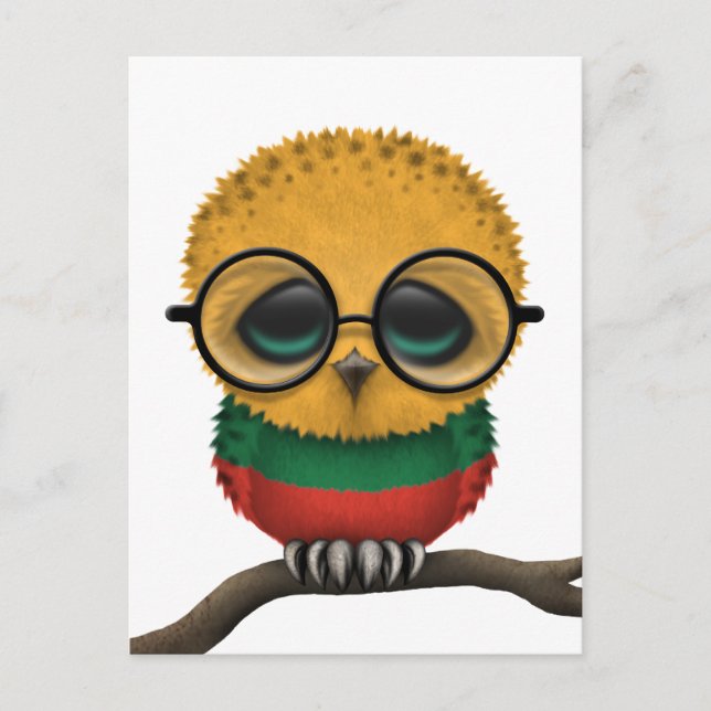 Individuell gestaltete Nerdy Litauian Baby Owl Chi Postkarte (Vorderseite)