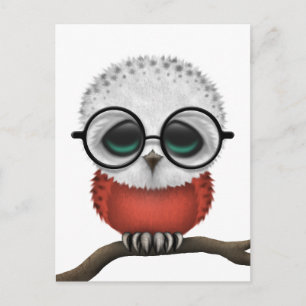 Individuell gestaltetes Nerdy Polish Baby Owl Chic Postkarte