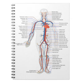 Individuelle Anatomie und Zirkulation von Notebook Notizblock