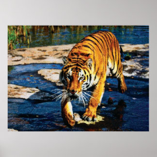 Individuelle Auswirkungen Tiere 2 cmyk Poster