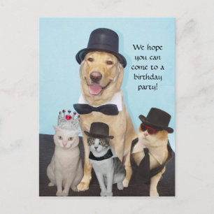 Individuelle Einladung