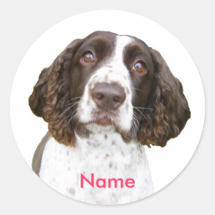 Individuelle Name English Springer Spanel Stickers