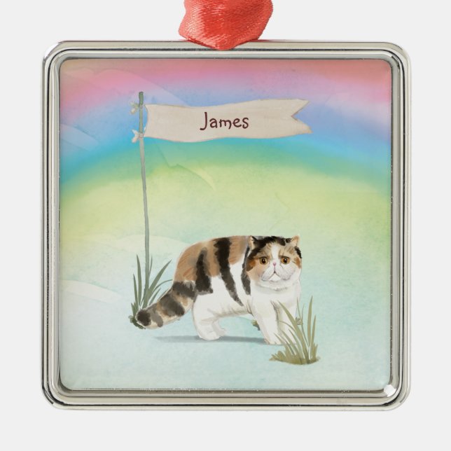 Individuelle Name Exotische Kurze Haarkatze Hausti Ornament Aus Metall (Vorne)