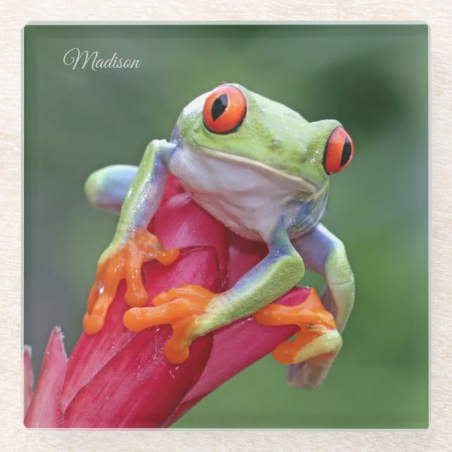 Individuelle Name Frog Glasuntersetzer (Vorderseite)