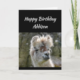 individuelle Name Fun Birthday Bad Hair Llama Tier Karte