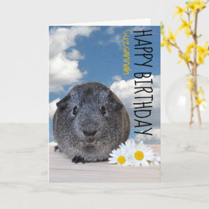 Individuelle Name Happy Birthday Guinea Pig White  Karte