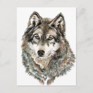 individuelle Name oder Text Wolf Wasserfarbe Tier Postkarte
