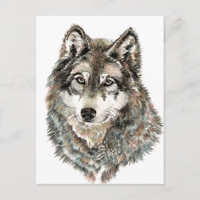 Individuelle Name oder Text Wolf Wasserfarbe Tier Postkarte (Vorderseite)