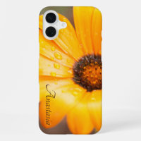 Individuelle Name Orange Daisy Nah-Up Foto
