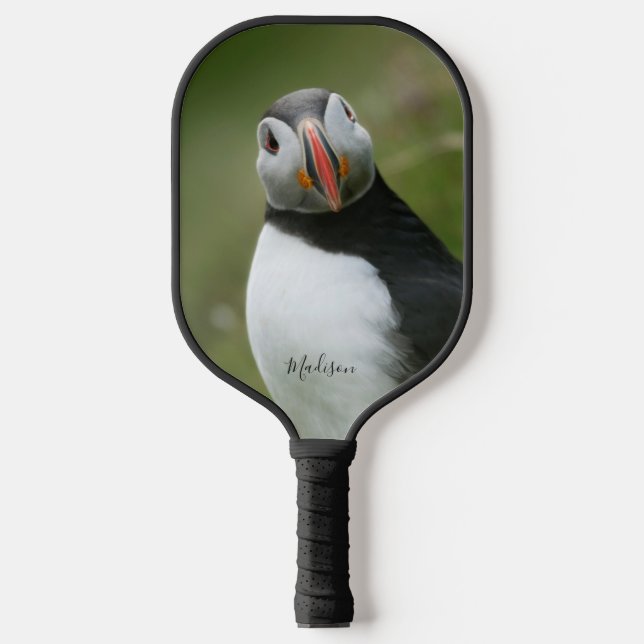 Individuelle Name Puffin Pickleball Schläger (Vorderseite)