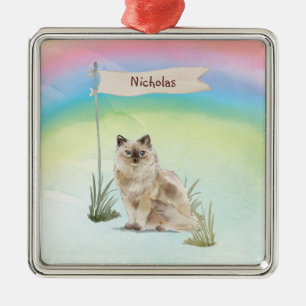 Individuelle Name Ragdoll Cat Pet Ornament Aus Metall