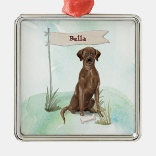 Individuelle Name Schokolade Labrador Haustier Hun Ornament Aus Metall