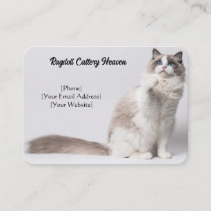Individuelle Ragdoll Cattery Business Card Visitenkarte