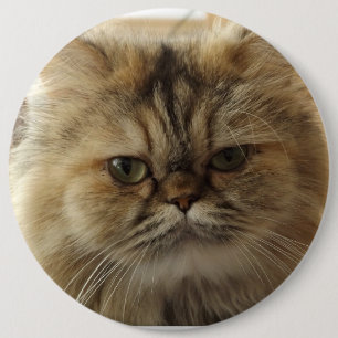 INDIVIDUELLER GROSSER DRUCKKNOPF MIT HAUSTIERKATZE BUTTON