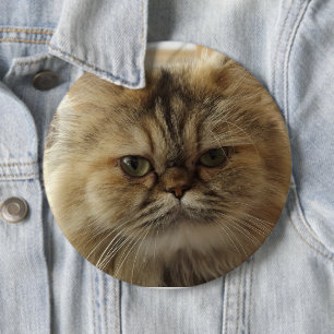 INDIVIDUELLER GROSSER KNOPF FÜR KATZENFOTOS BUTTON