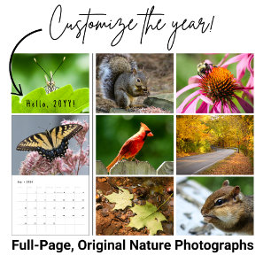 Individueller Jahreskalender für Wildlife-Fotograf Kalender