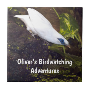 Individueller Name Bali-Myna-Vogelbeobachtungsaben Fliese