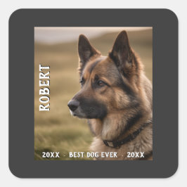 Individuelles Haustier-Gedenkstück bester Hund eve Quadratischer Aufkleber