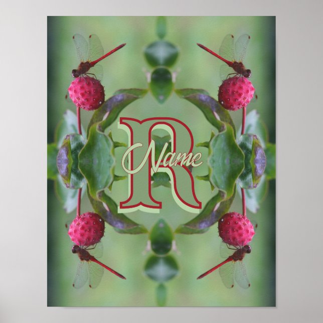 Individuelles Monogramm Ihr Anfangsname Libellenku Poster (Vorne)