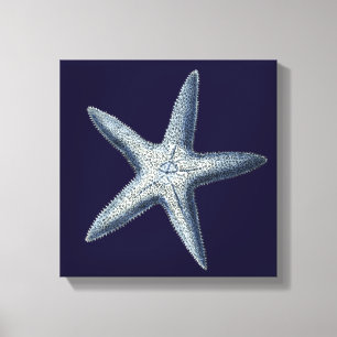 Indizes Muscheln IV Leinwanddruck