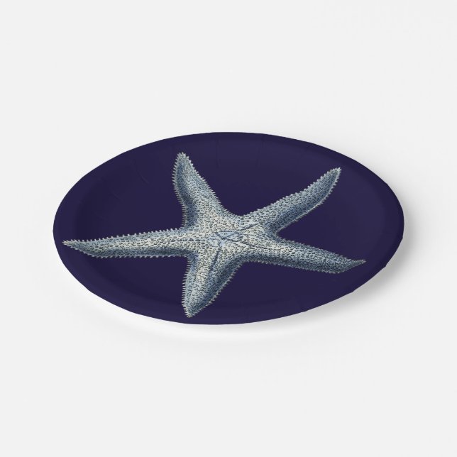 Indizes Muscheln IV Pappteller (Schrägansicht)