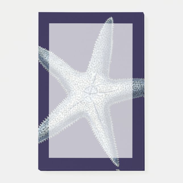 Indizes Muscheln IV Post-it Klebezettel (Vorderseite)