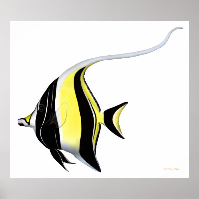 Indo Pacific Reef Moorish Idol Fish Poster (Vorne)