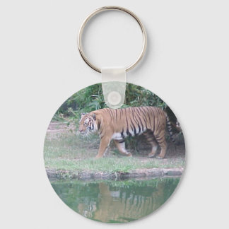 Indochinese Tiger Schlüsselanhänger