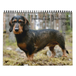 Indomitable Dackel-Gewohnheits-Jahr Kalender