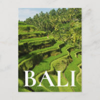 Indonesien, Bali | Reis Paddies